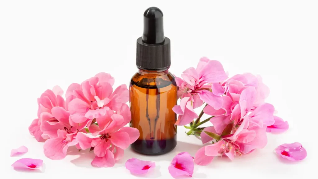 Spotted geranium is gaining popularity as a nootropic supplement.