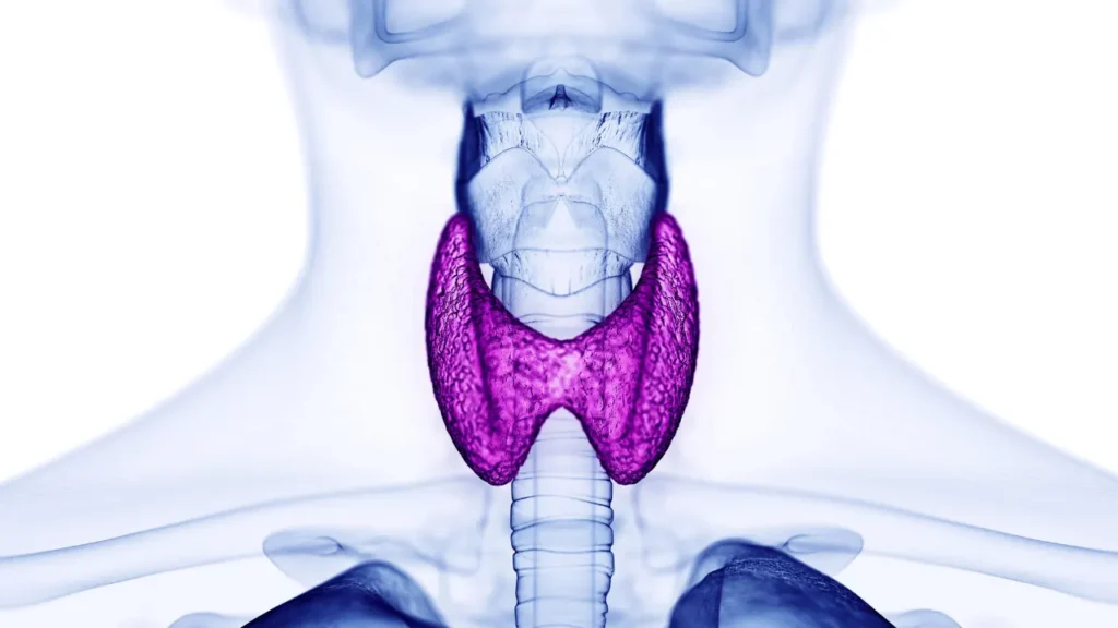 Thyroid health. 