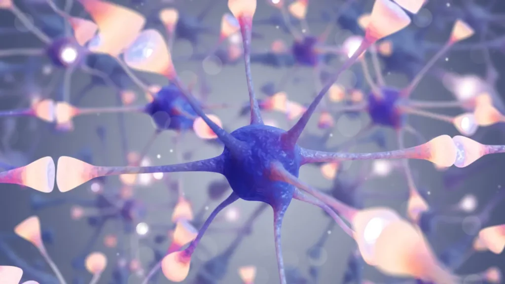 Healthy neurons. 