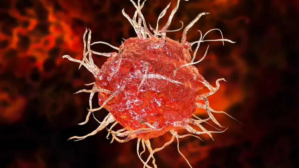 Dendritic cell. 