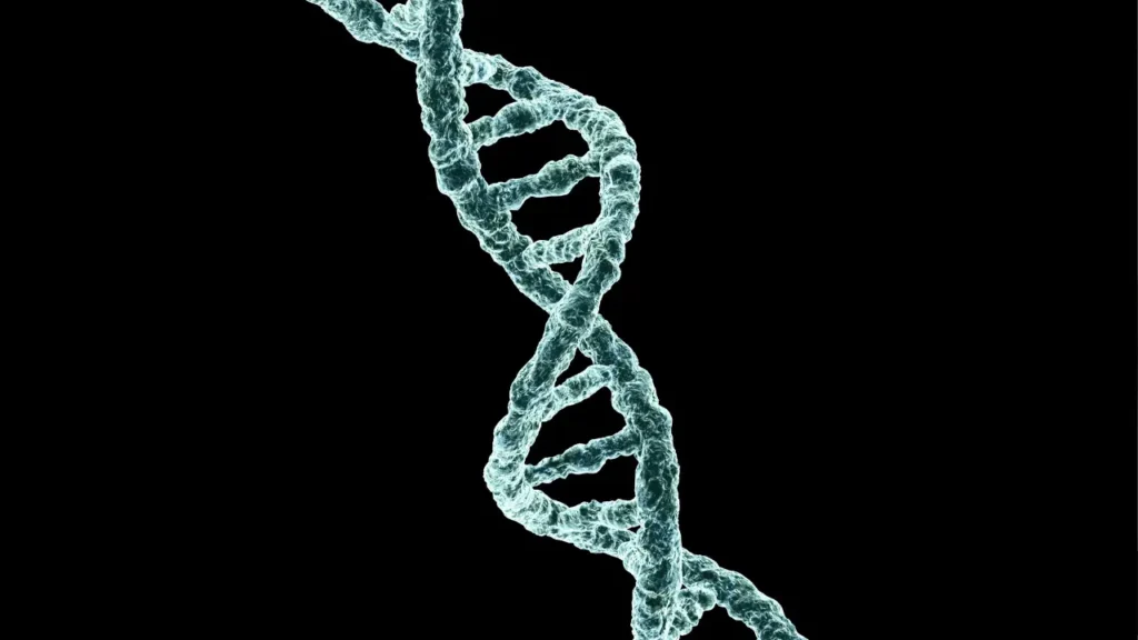 DNA structure. 