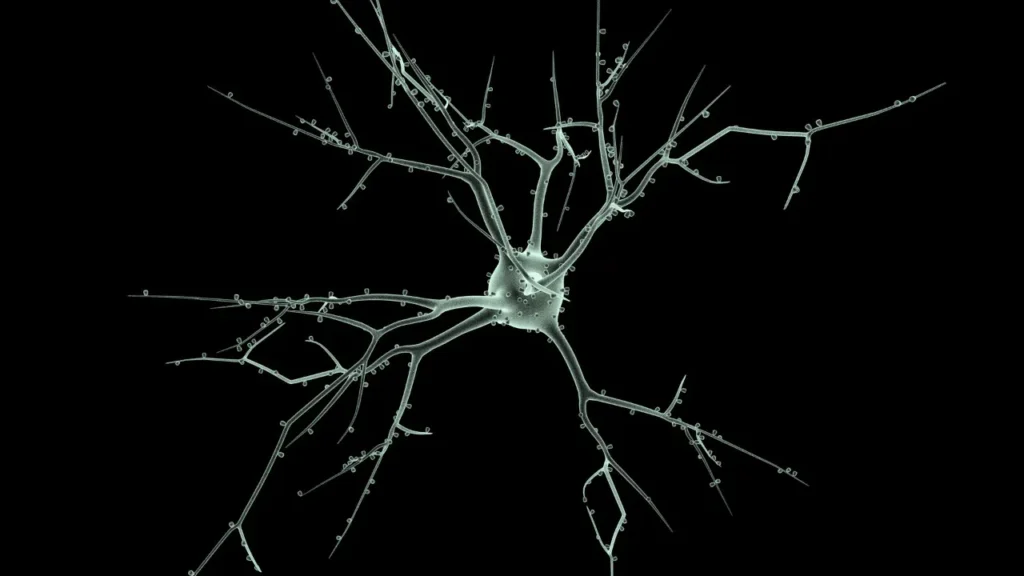 Healthy neuron. 