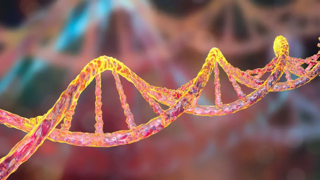 DNA structure. 