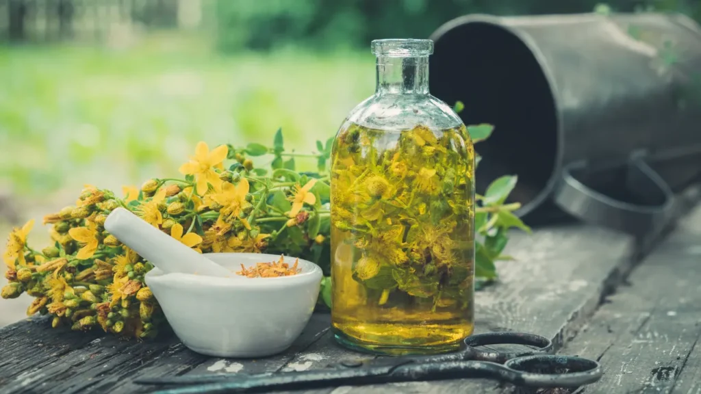 St. John's Wort is also used in medicine. 