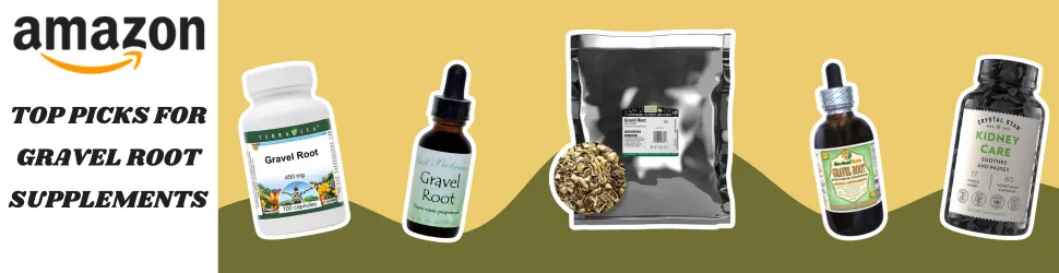 Boost Overall Health and Cognitive Function with Gravel Root Supplements—Buy Now on Amazon!