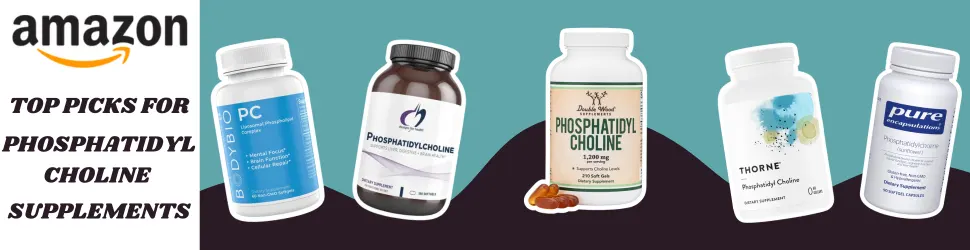 Boost Your Brain’s Vitality and Nerve Strength with Advanced Phosphatidylcholine Supplements—Shop Now on Amazon!