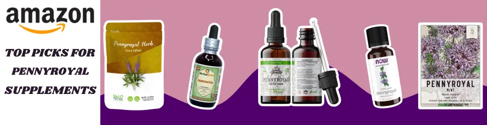 Discover the Calming Benefits of Pennyroyal Tea, Oil, and Tincture for Brain Wellness—Shop Amazon’s Best Now!