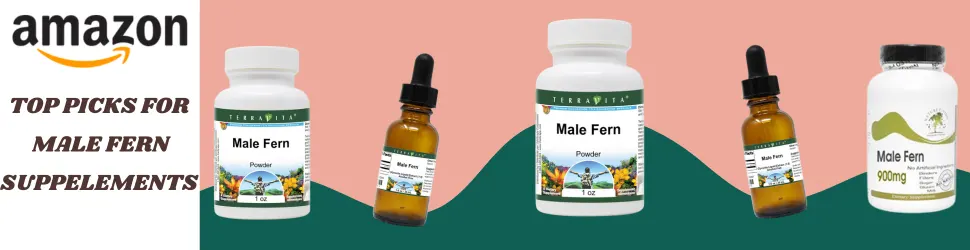 Discover the Gut-Health and Brain-Supporting Benefits of Male Fern Supplements—Shop Now on Amazon!