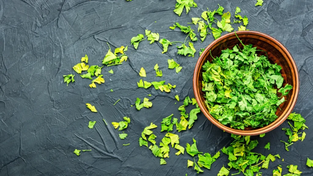 Nootropic Benefits of Parsley Piert