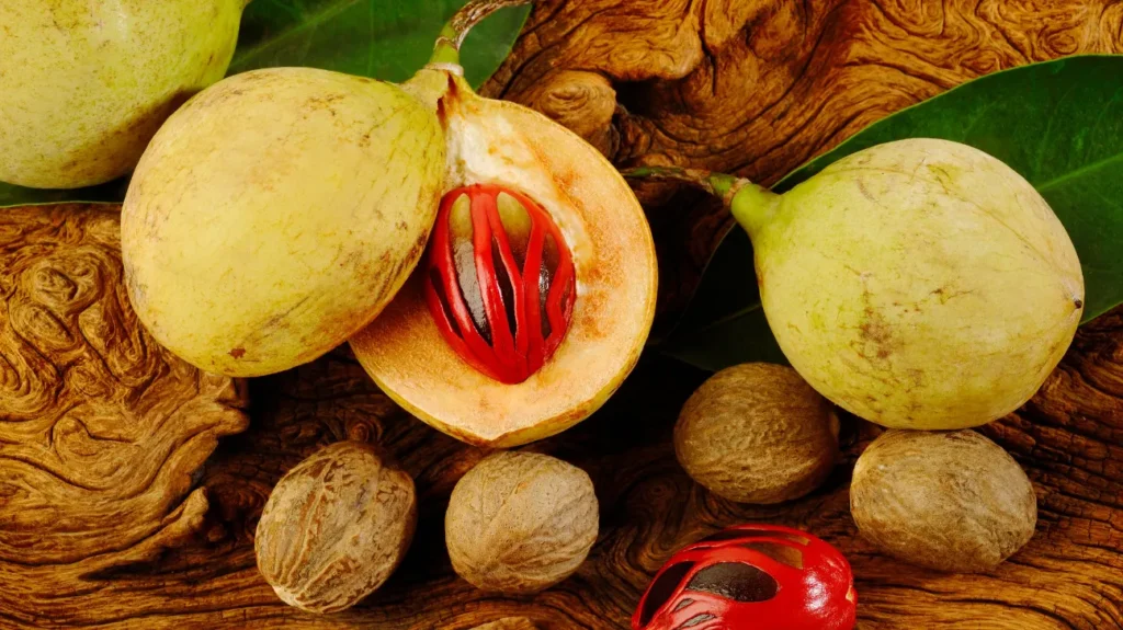 Nutmeg as a Nootropic