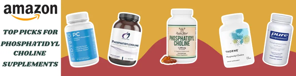 Promote Nerve Health and Mental Resilience with Premium Phosphatidylcholine—Buy Now on Amazon!