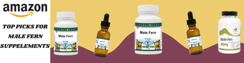 Promote Optimal Detox and Mental Clarity with Premium Male Fern Supplements—Buy Now on Amazon!