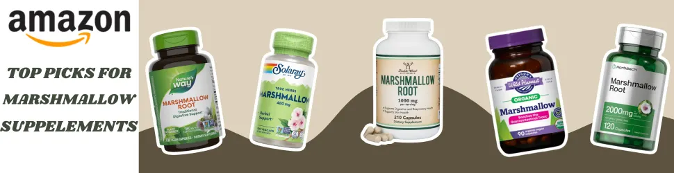 Promote Respiratory Wellness and Mental Clarity with Marshmallow Root Extract—Shop Now on Amazon!