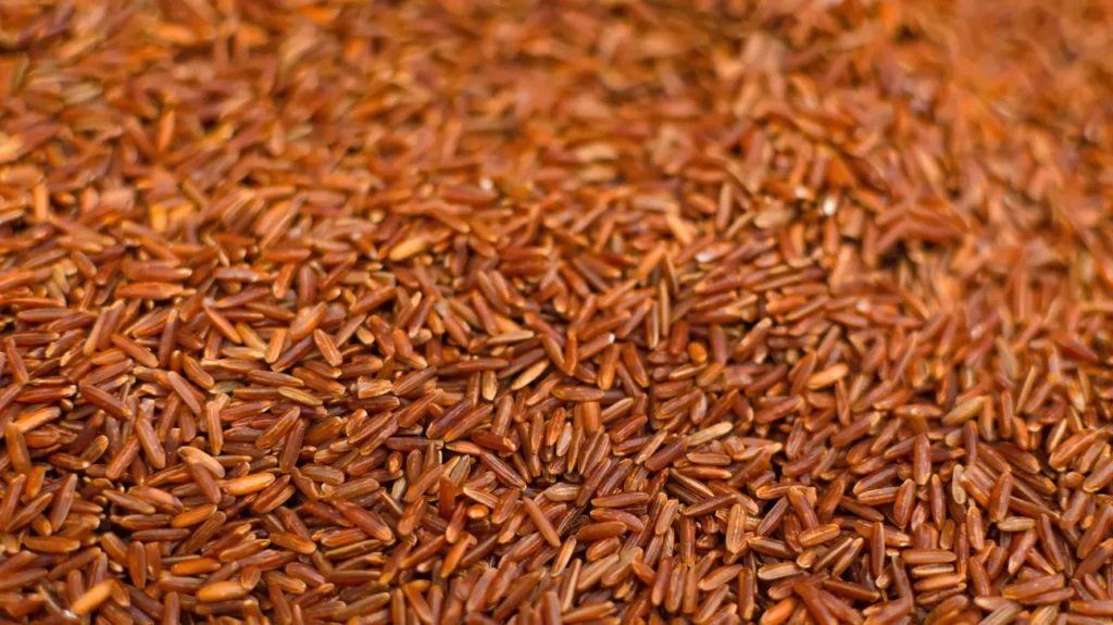 Red yeast rice Benefits