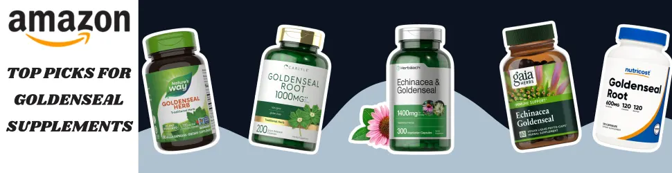 Support Digestive Health and Brain Clarity with Goldenseal’s Natural Benefits—Order Now on Amazon!