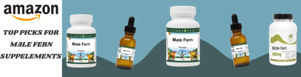 Support Healthy Intestinal Balance and Cognitive Function with Male Fern Supplements—Shop Amazon’s Best Now!