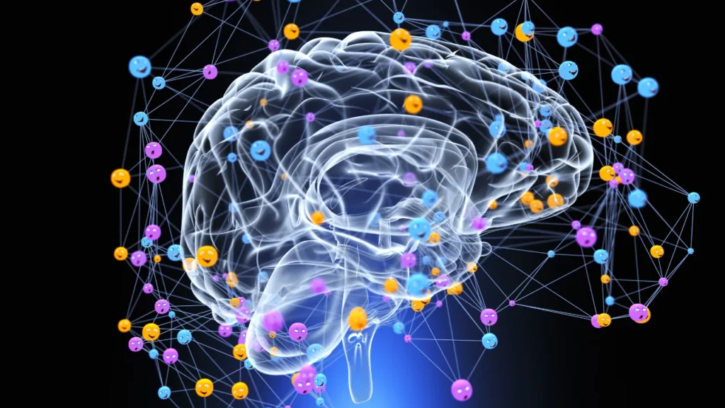 Healthy human brain.