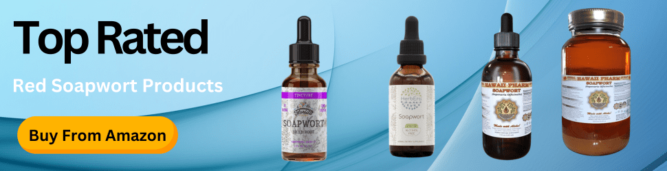 Boost your brainpower and enhance focus with Red Soapwort supplements—Unlock your potential, Shop Now on Amazon!