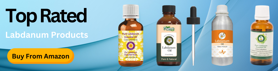 Enhance focus and support brain health with the natural power of Labdanum—Nourish your mind, Shop Now on Amazon!