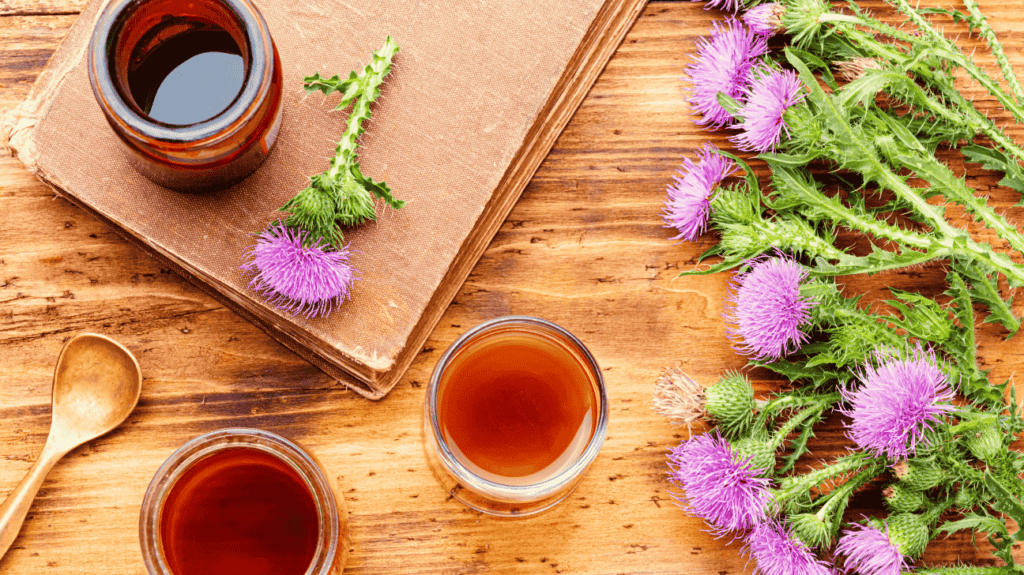 Health Benefits of Milk Thistle