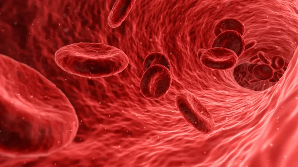 Healthy blood circulation.