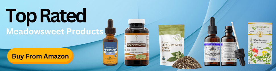 Meadowsweet aids in protecting brain cells and enhancing mental resilience—Support Your Brain, Purchase Today on Amazon!