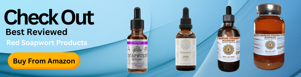 Nourish your brain and support long-term mental vitality with Red Soapwort supplements—Your wellness matters, Shop Now!