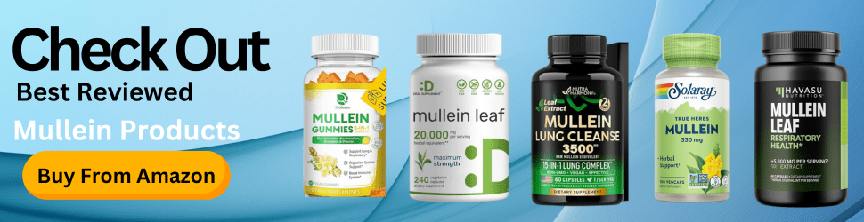 Recharge your brain and reduce mental fatigue with the soothing benefits of Mullein—Feel the difference, Shop Now!