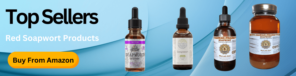 Support cognitive function and reduce mental fatigue with Red Soapwort—Feel the difference, Shop Now!