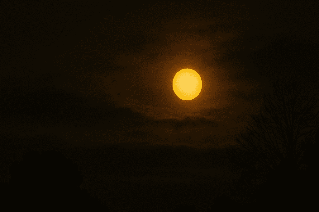 A glowing sun shines through a moody sky during dusk, with dark tree silhouettes framing the scene—symbolizing the complex relationship between sunlight, vitamin D production, and mental wakefulness. The dramatic shadows and rich contrast evoke the energy-enhancing yet elusive nature of vitamin D.