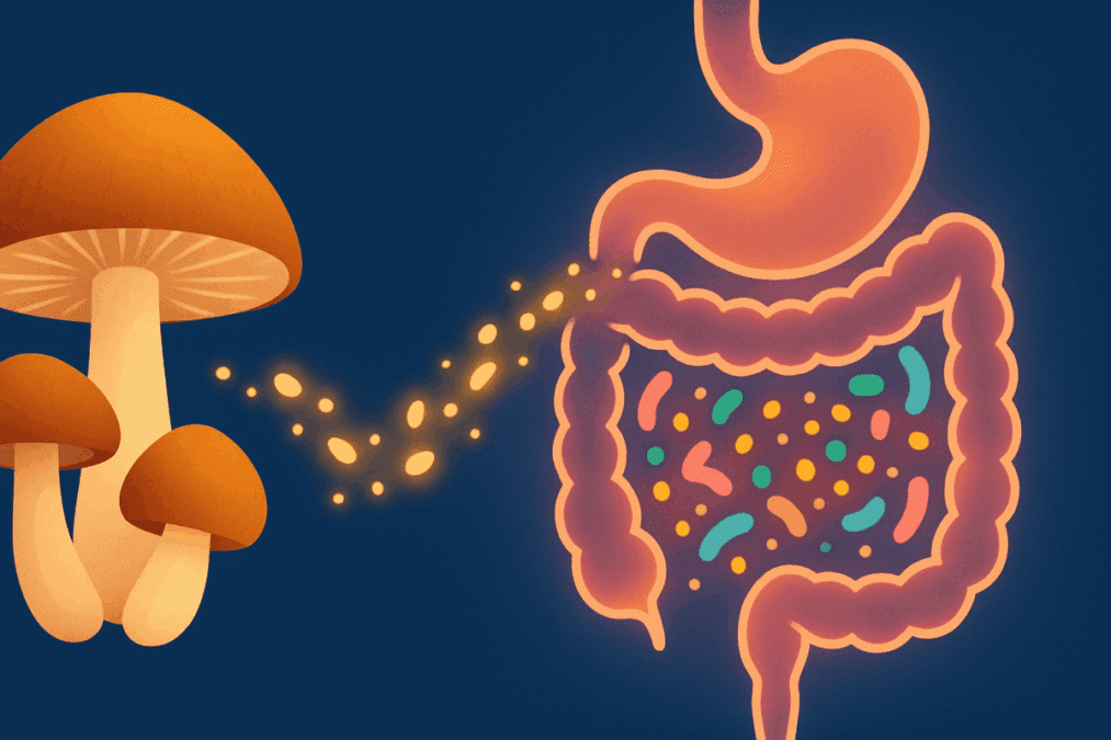 Stylized gut health illustration featuring mushrooms to depict the fiber-rich nutritional value of brown mushrooms and crimini mushrooms